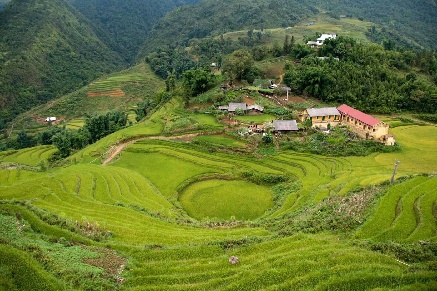 Ta Van valley rice terraces near Sa Pa